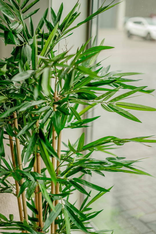Planta artificial Bambú 150 cm