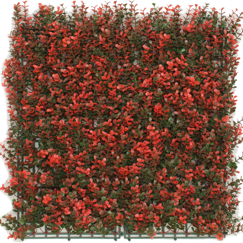 Jardín vertical Boj rojo 50x50 cm UV