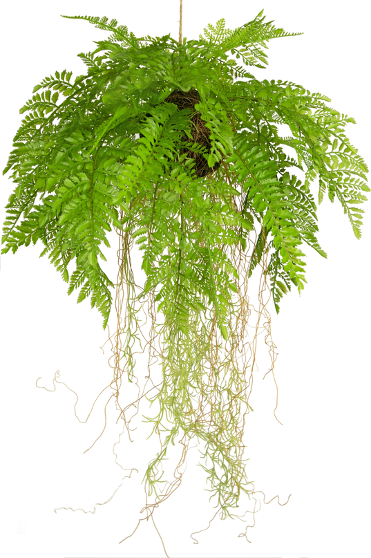 Planta artificial colgante Helecho con raíces d35 cm con sistema para colgar