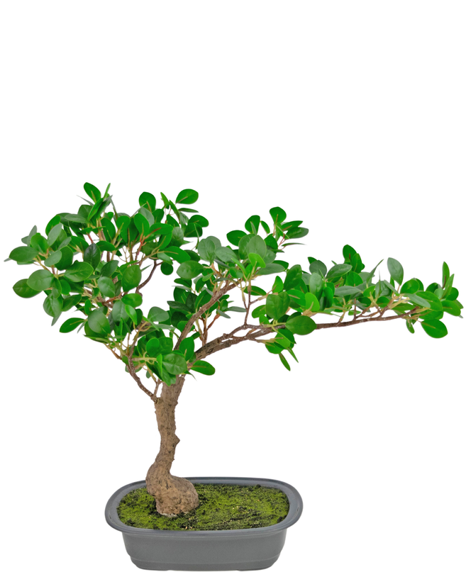 Planta artificial Bonsai Ficus 40 cm