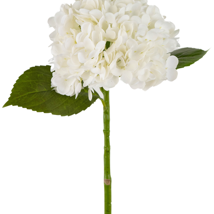 Hortensia artificial "Annabelle" Real Touch Blanca 55cm
