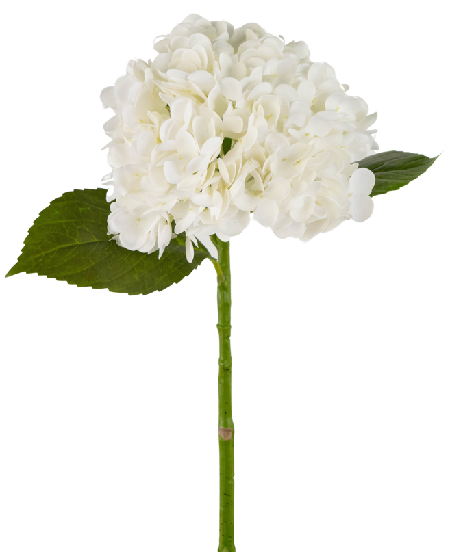 Hortensia artificial "Annabelle" Real Touch Blanca 55cm
