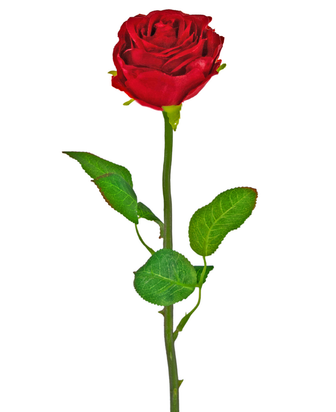Rosa roja artificial Classic 55 cm