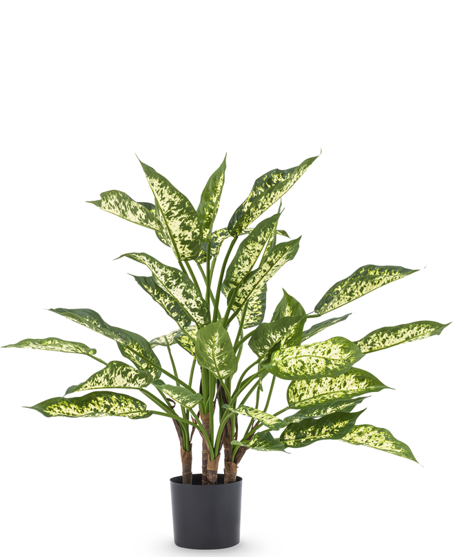 Planta artificial Dieffenbachia 75 cm