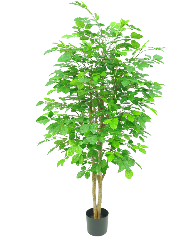 Planta artificial Carpinus 150 cm