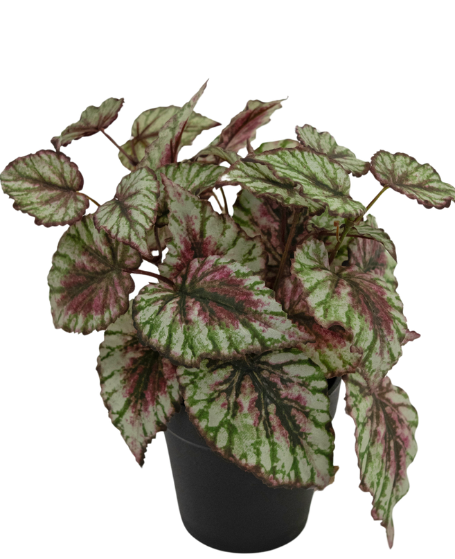 Begonia artificial en maceta 35cm