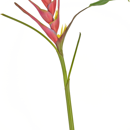 Flor artificial Heliconia 90 cm fucsia