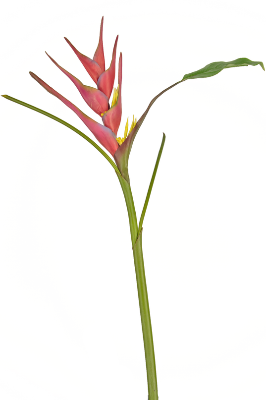 Flor artificial Heliconia 90 cm fucsia