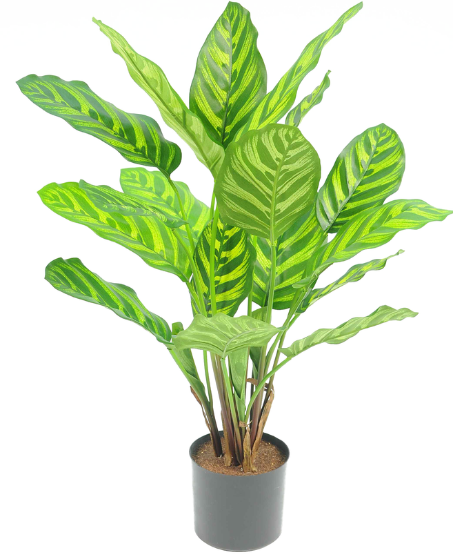 Planta artificial Calathea Makoyana 55 cm