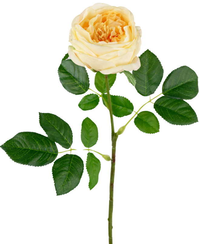 Rosa artificial de jardín "Anniken" Tacto real amarillo 72cm