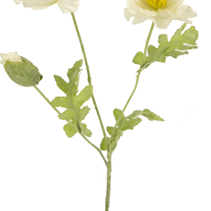 Ramo de flor artificial Amapola 73 cm blanca
