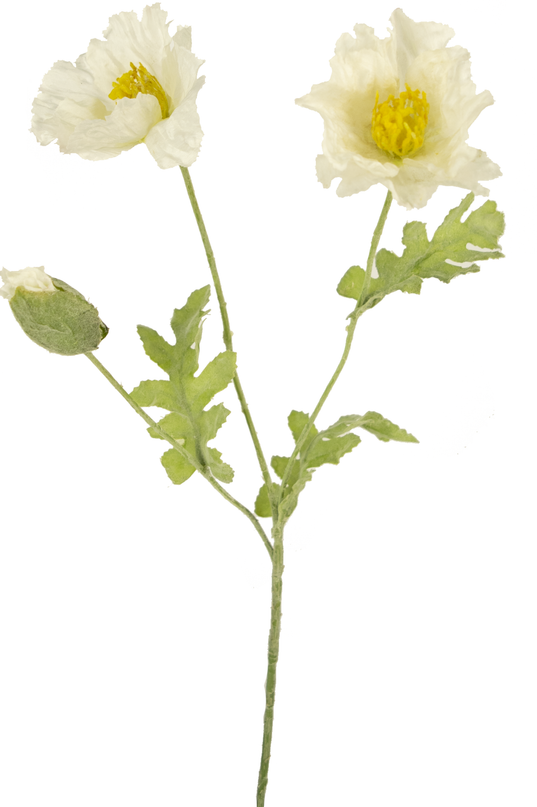 Ramo de flor artificial Amapola 73 cm blanca