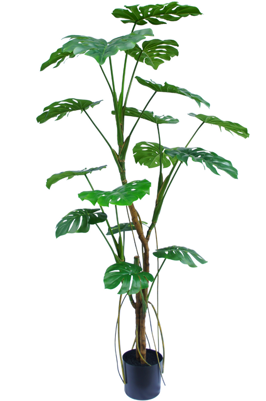 Planta artificial Monstera 180 cm