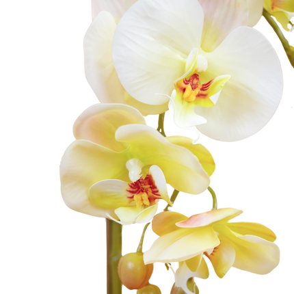 Orquídea artificial 56 cm en maceta decorativa dorada