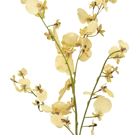 Rama artificial Orquídea 80 cm beige