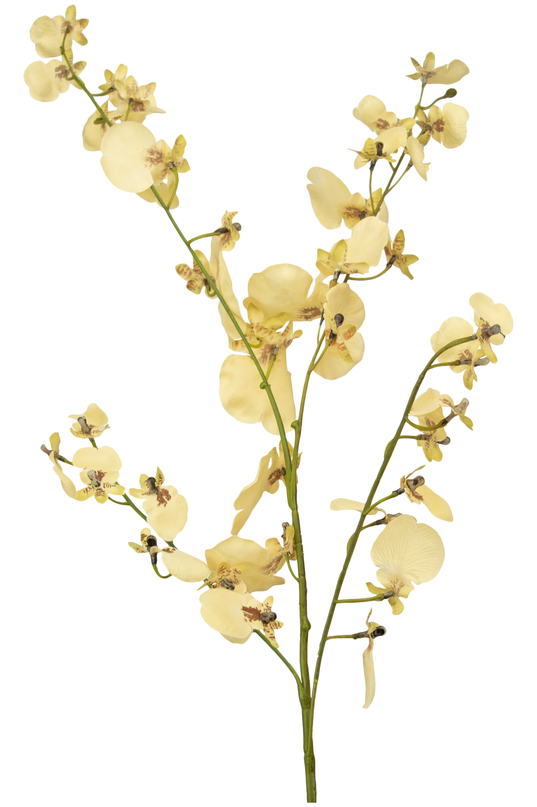 Rama artificial Orquídea 80 cm beige