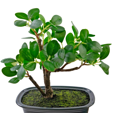 Planta artificial Bonsai Ficus 20 cm
