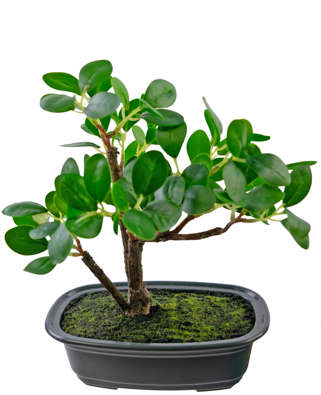 Planta artificial Bonsai Ficus 20 cm