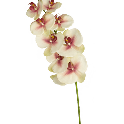 Orquídea artificial Real Touch Deluxe 105 cm rosa/blanco