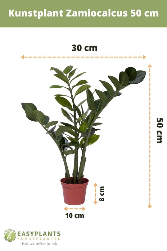 Planta artificial Zamioculcas 50 cm