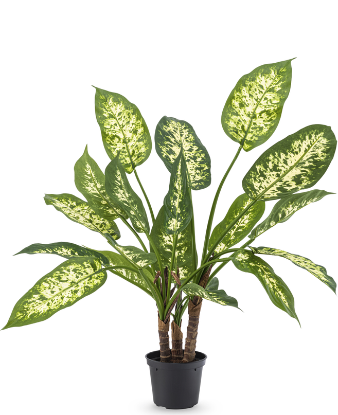 Planta artificial Dieffenbachia 60 cm