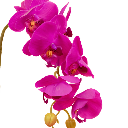 Orquídea artificial 56cm rosa en maceta decorativa dorada