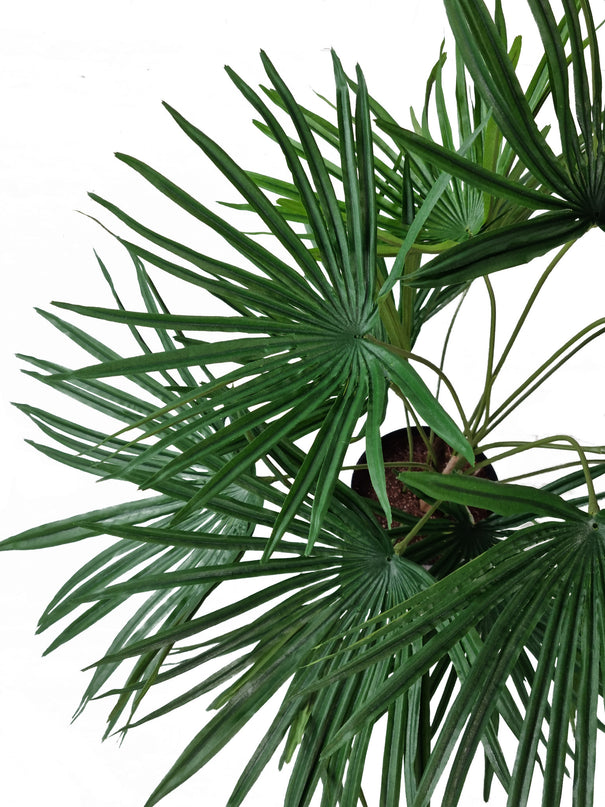 Planta artificial Baby Palm Fan 50 cm