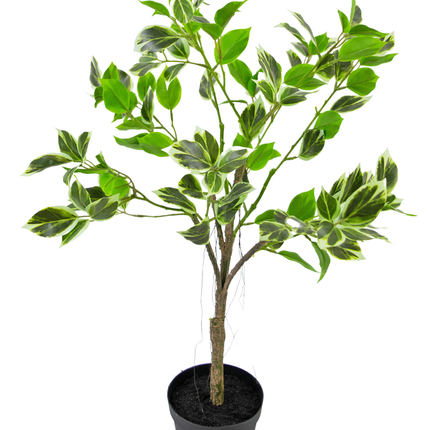 Planta artificial Ficus Henryi 60 cm verde/blanco