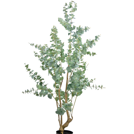 Planta artificial Eucalipto 180 cm