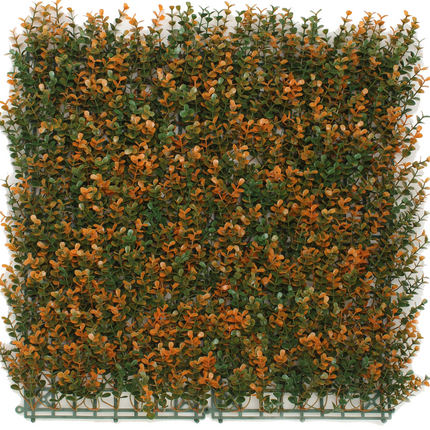 Jardín vertical Boj naranja 50x50 cm UV