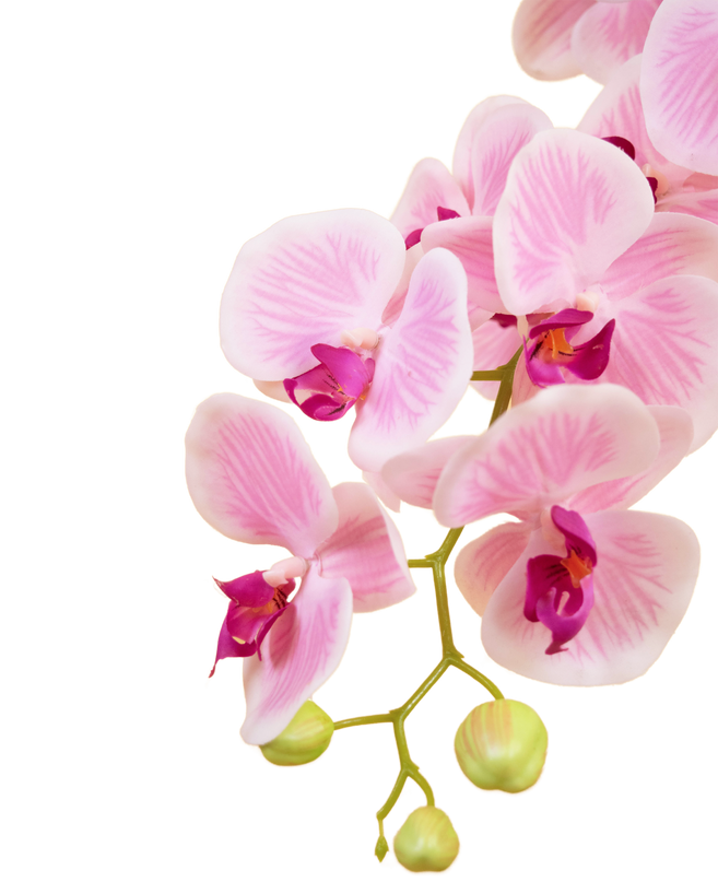 Orquídea artificial 58 cm blanca