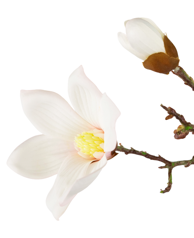 Rama de magnolia artificial Real Touch Blanco 98cm