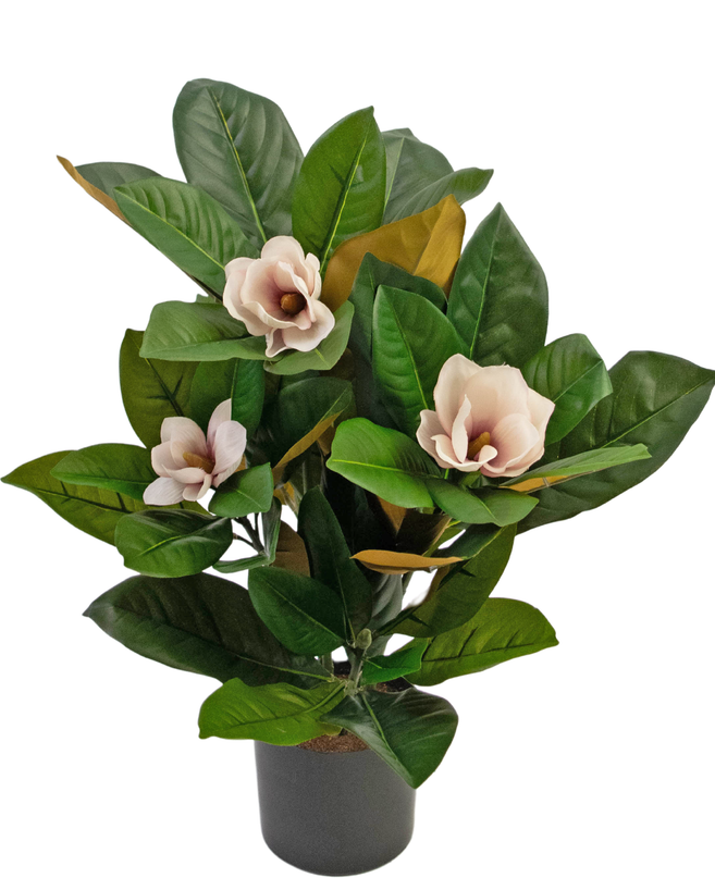 Planta artificial Magnolia en maceta 46 cm