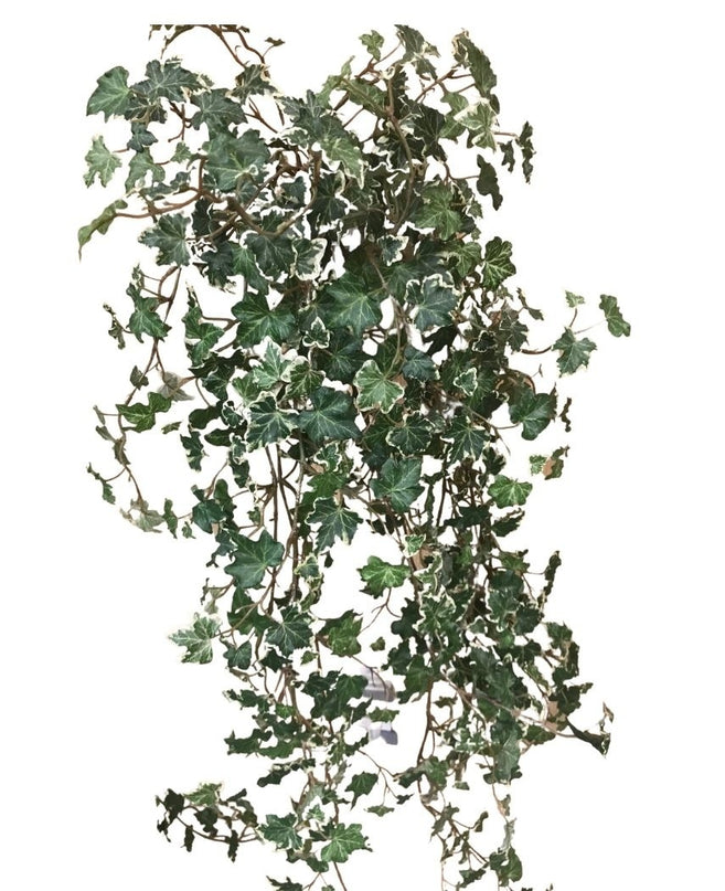 Hiedra artificial Deluxe Verde intenso-Blanco 90 cm