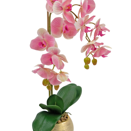 Orquídea Artística 56 cm rosa oscuro en maceta decorativa dorada