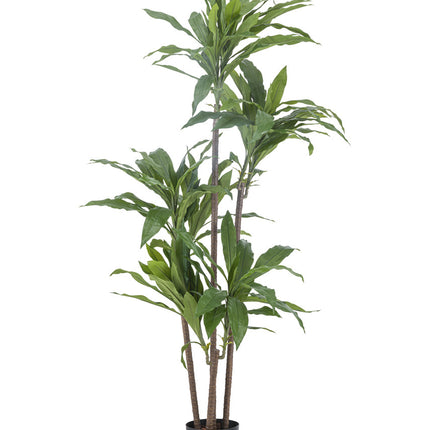 Planta artificial Dracena Fragnans 150 cm