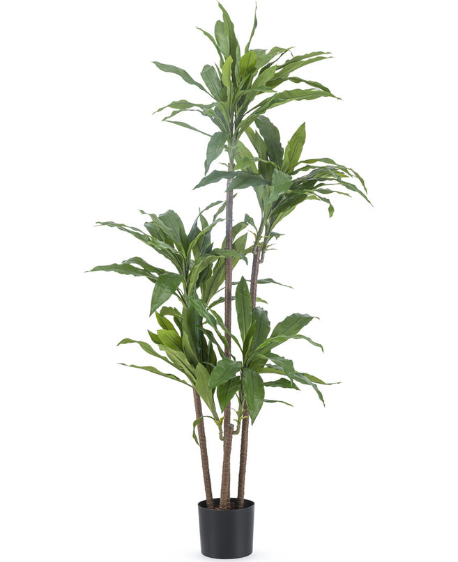 Planta artificial Dracena Fragnans 150 cm