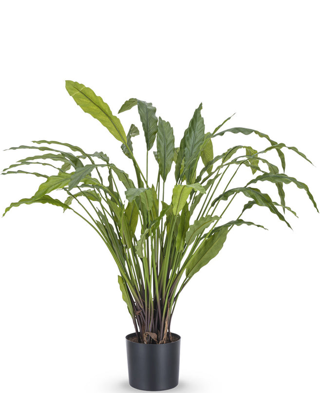Planta artificial Calathea 80 cm