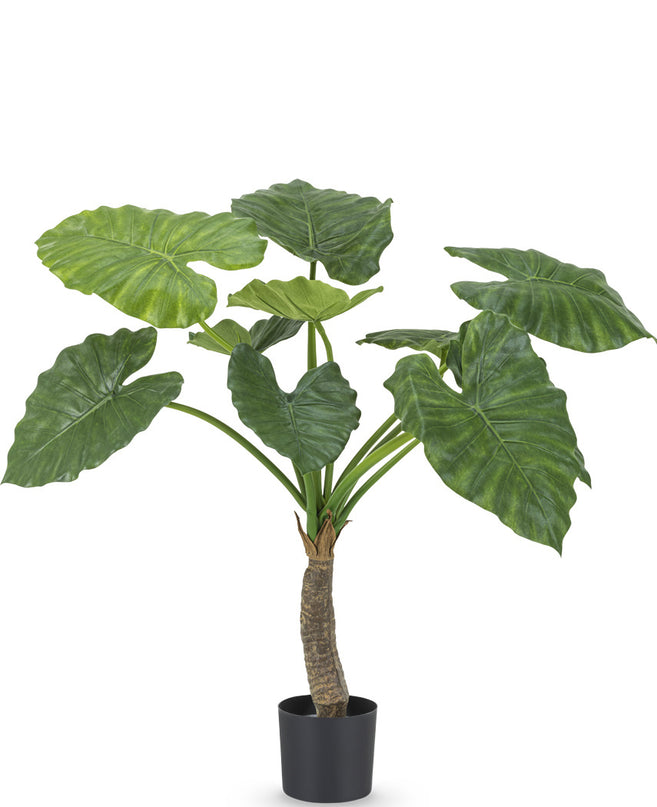 Planta artificial Alocasia 80 cm