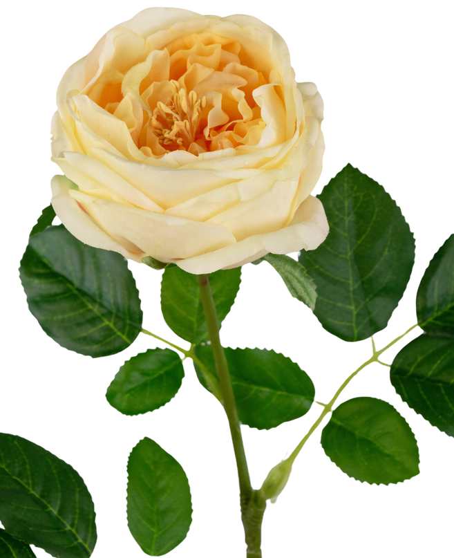 Rosa artificial de jardín "Anniken" Tacto real amarillo 72cm
