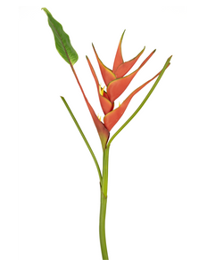 Flor artificial Heliconia 90 cm roja