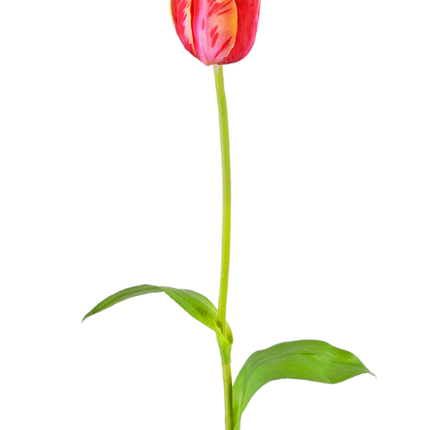 Ramo de flor artificial Tulipán francés 60 cm rojo