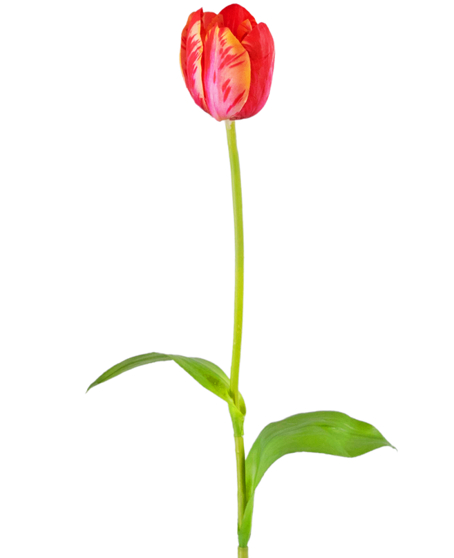 Ramo de flor artificial Tulipán francés 60 cm rojo