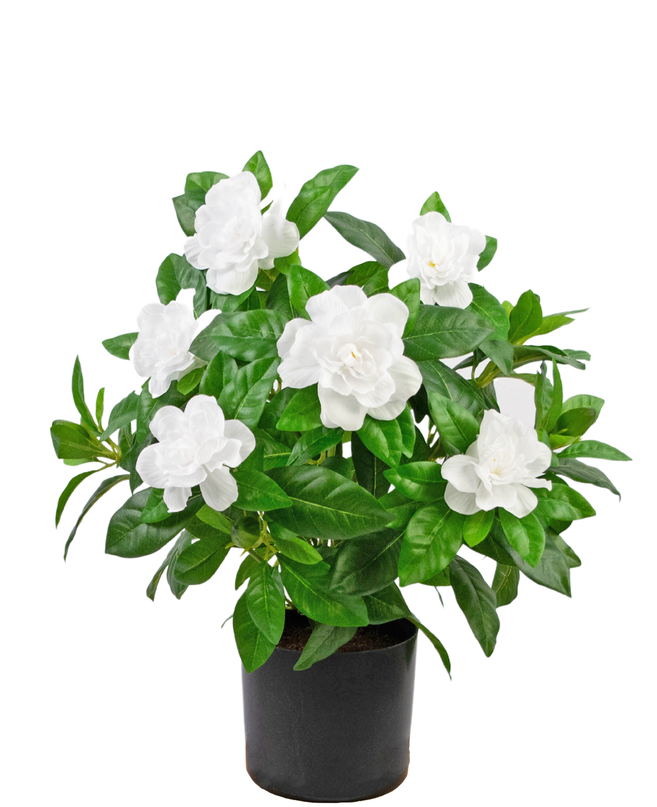 Planta artificial Gardenia 39 cm blanca