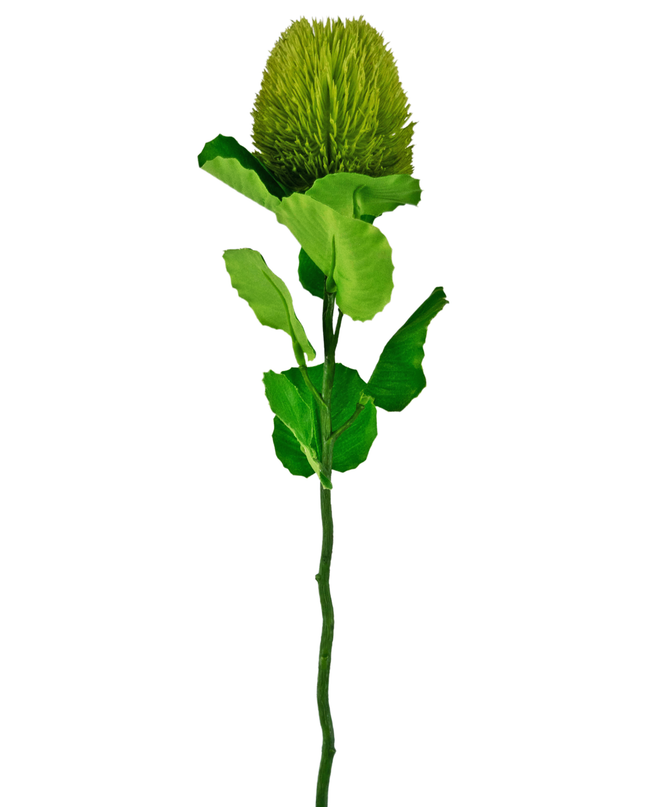 Ramo de flor artificial Banksia 59 cm verde