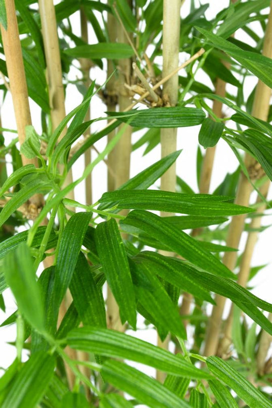 Planta artificial Bambú japonés 110 cm