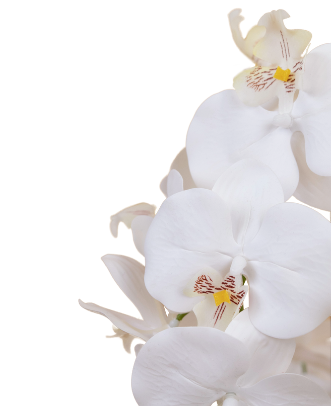 Orquídea artificial 65 cm blanca en cuenco dorado