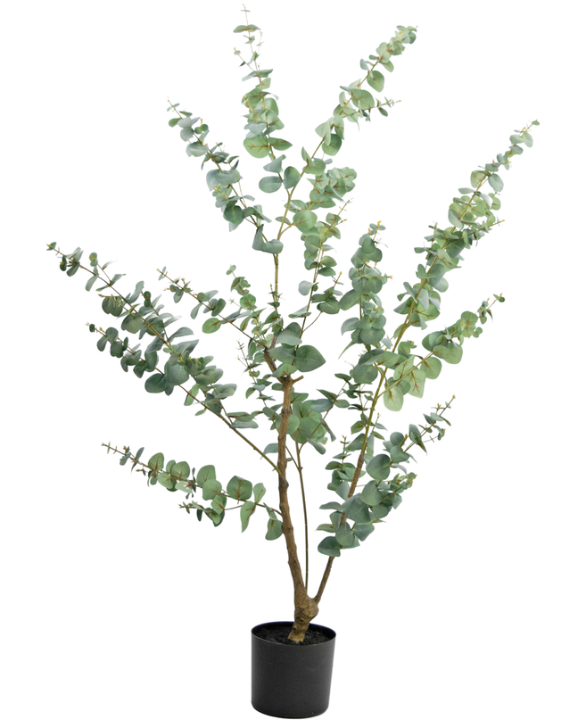 Planta artificial Eucalipto 150 cm
