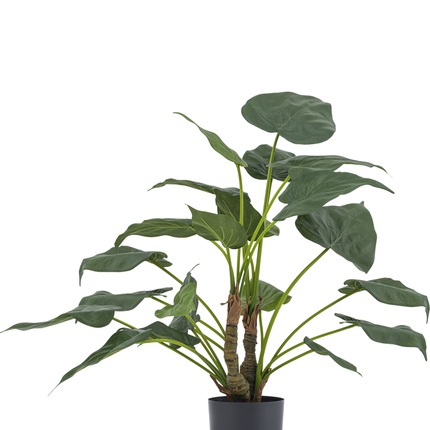 Planta artificial Alocasia Cucullata 53 cm