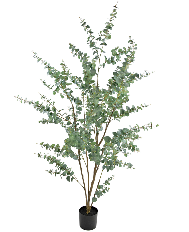 Planta artificial Eucalipto 210 cm